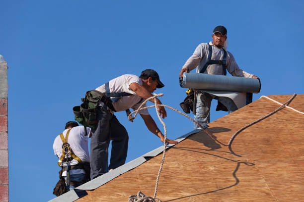 Best Roof Gutter Cleaning  in Scotts Hill, TN
